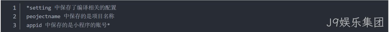  JSON 配置文件