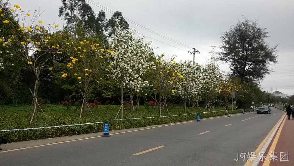 J9娱乐集团仙湖行